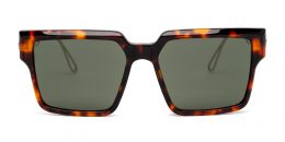 ALVAREZ Classic Havana & Light Shiny Gold