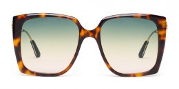 VEGA Classic Havana & Light Shiny Gold