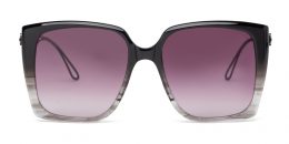 VEGA Black Gradient & Deep Black Matte