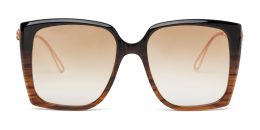 VEGA Brown Gradient & Shiny Rose Gold